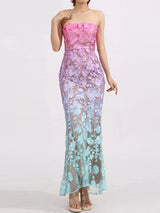 Gradient embroidered tube maxi dress detail
