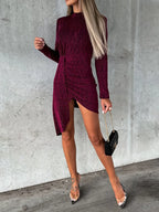 Burgundy mock-neck long-sleeve mini dress, back view