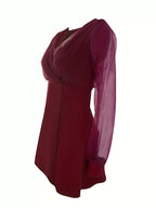 Burgundy glitter mesh long-sleeve mini dress, side view.